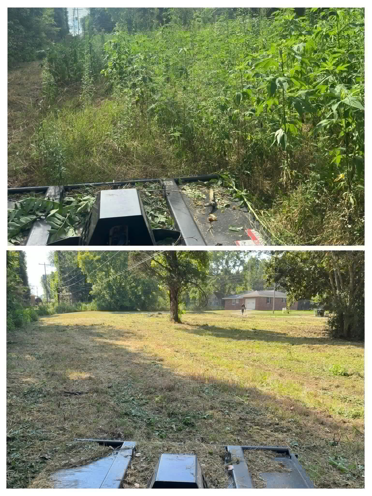 Brush Clearing & Trimming, Before & After