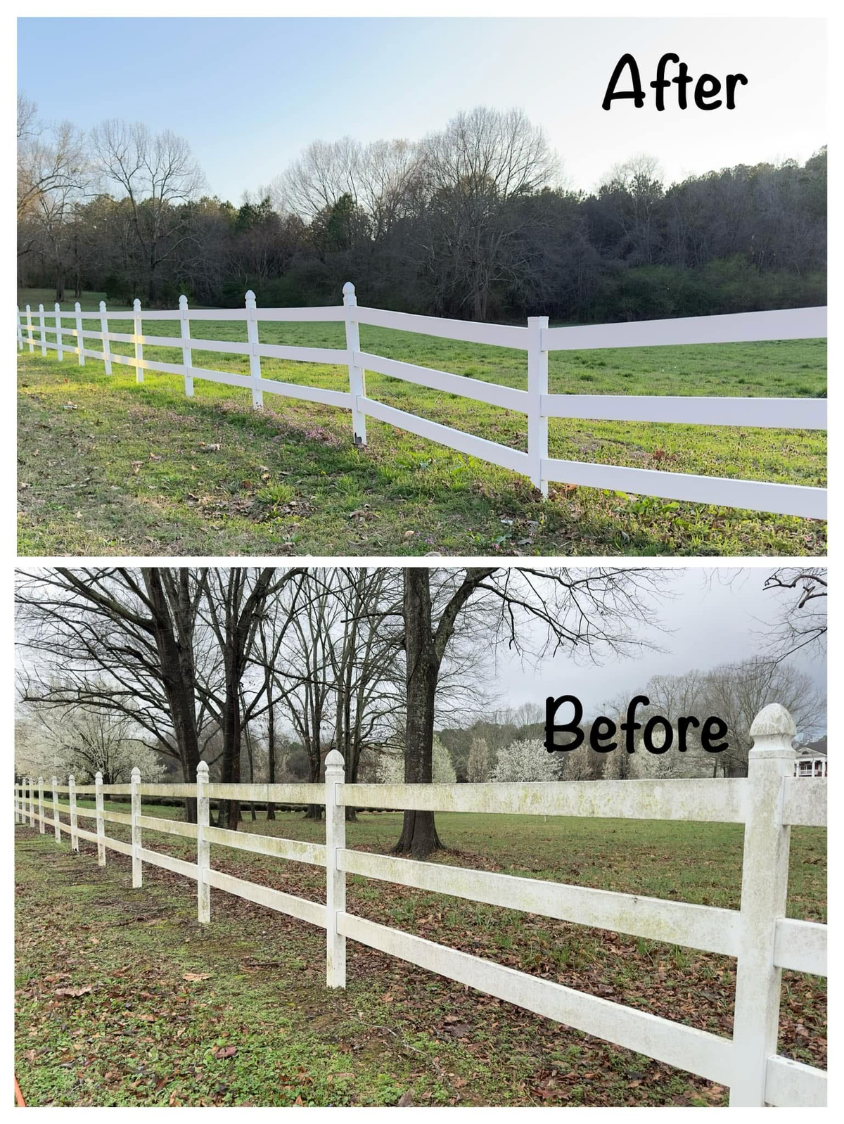Fence Washing, Before & After