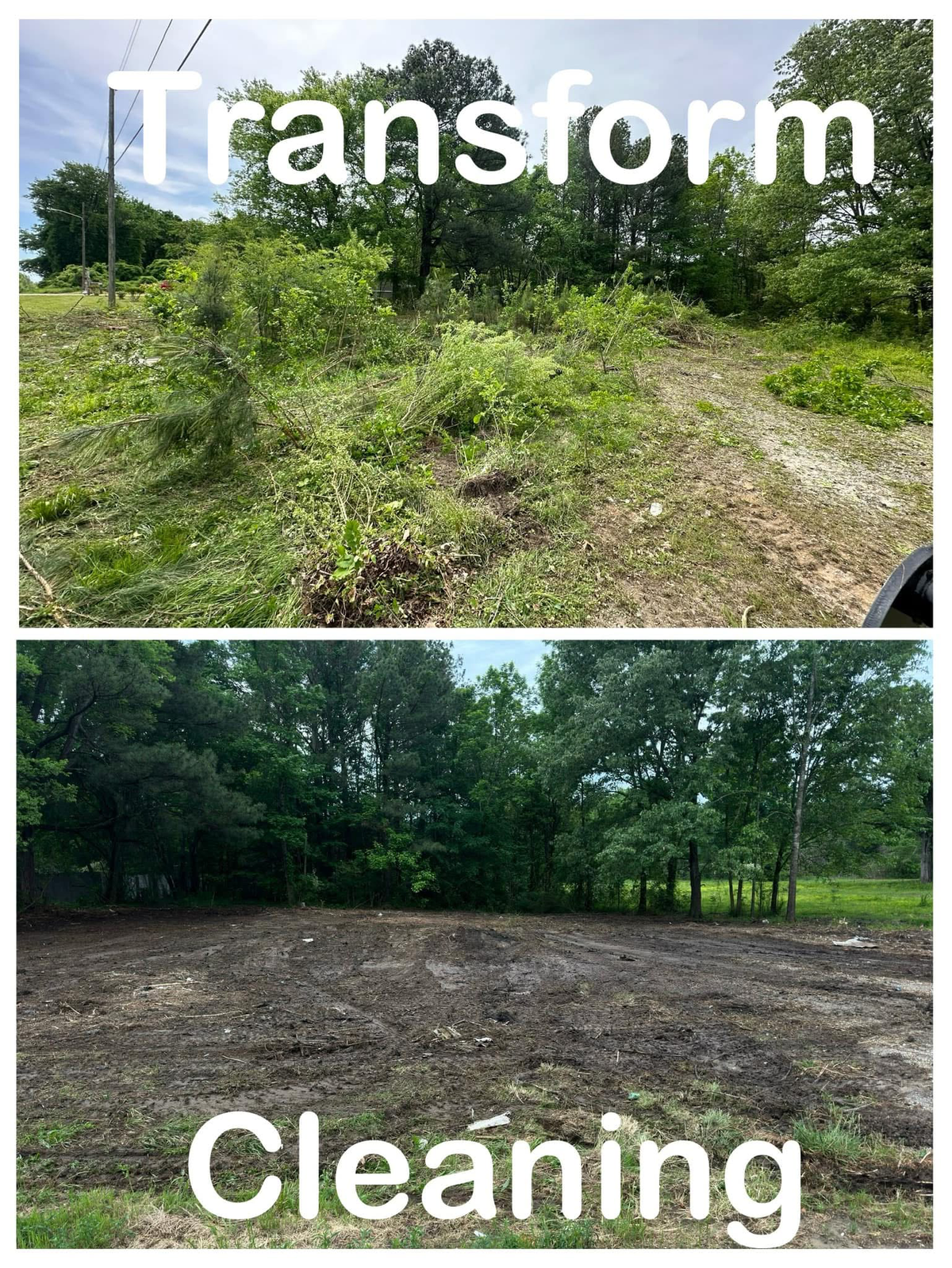 Tree service in Cherokee, AL