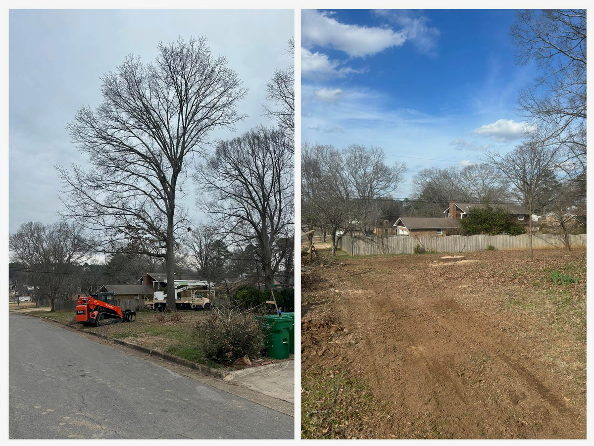 Tree service in Killen, AL