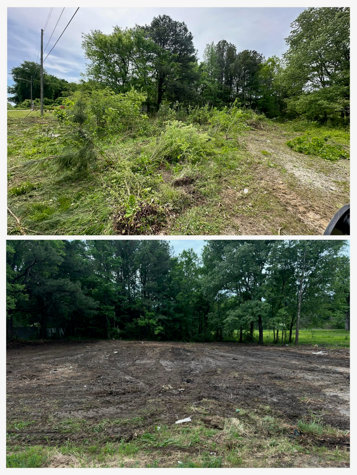 Tree service in Leighton, AL
