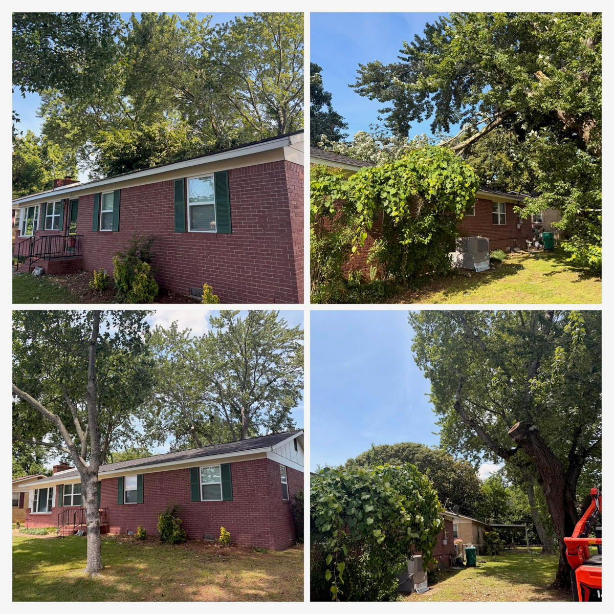 Fallen Tree on Home Removal, Before & After