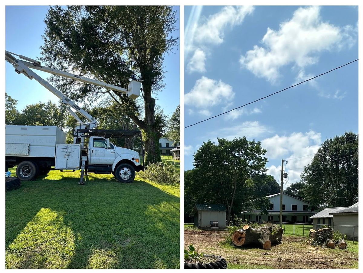 Transform Cleaning LLC crew at work