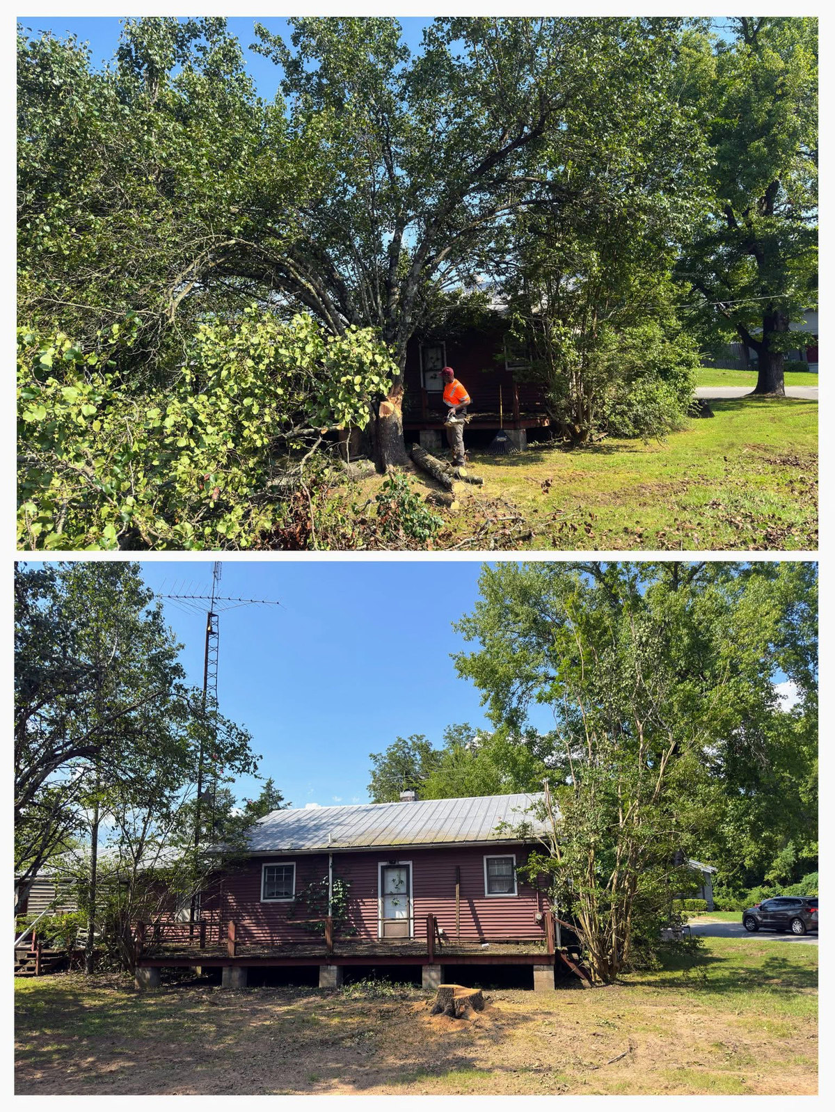 Tree service in Florence, AL