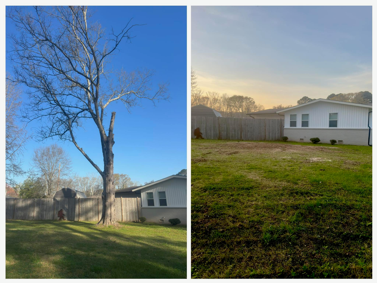 Tree Removal & Stump Grinding, Before & After